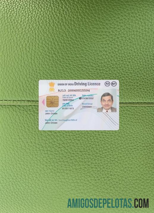 Carteira de motorista da União da Índia, nova versão do fotolook frente amostra